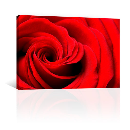 Espiral Petalos de Rosa