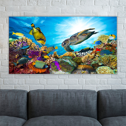 Colorful Coral Reef