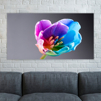Multi coloured