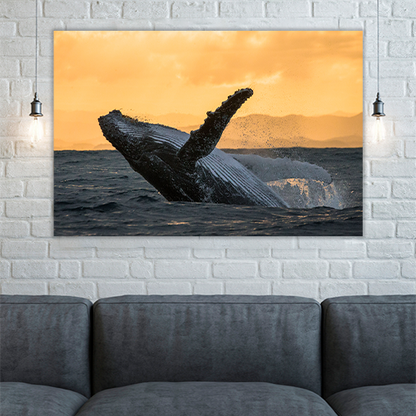 Humpback jump