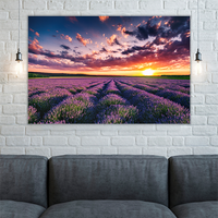 Blooming Lavander