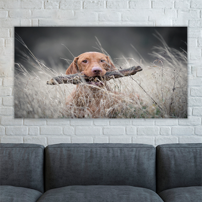Hungarian Hound Dog