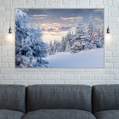 Sunny Winter