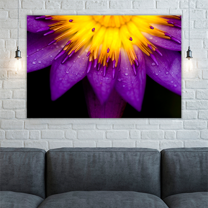 Purple lotus