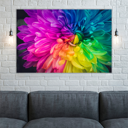 Beautiful flower