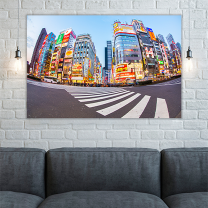 Shinjuku Tokyo Metropolis