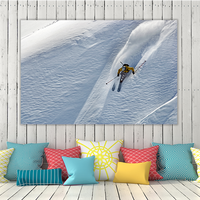 Power Skier