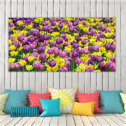 Bed of tulips