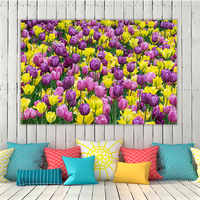 Bed of tulips
