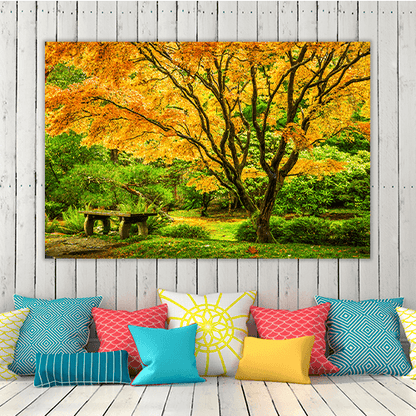 Japanese Maple Fall