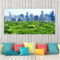 Skyline and Central Park