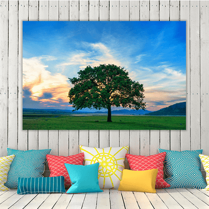 Beautiful and Old Oak