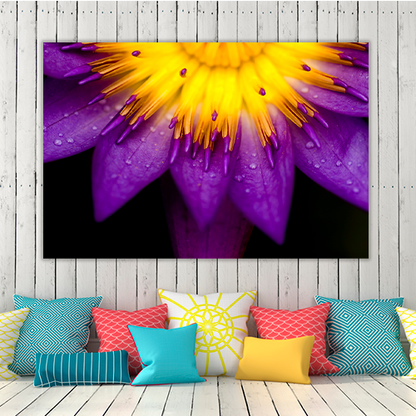Purple lotus