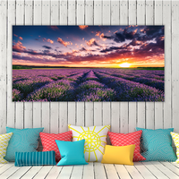 Blooming Lavander
