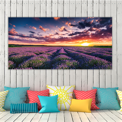 Blooming Lavander