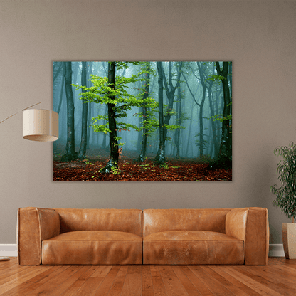 Autumn landscape