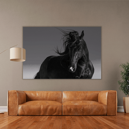 Black Stallion