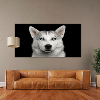 Husky in Black