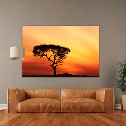 Sunset in a Tree