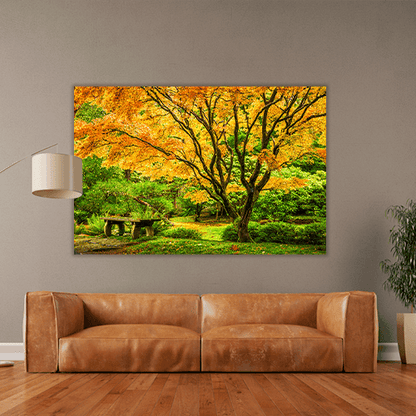 Japanese Maple Fall
