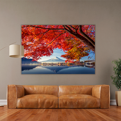Autum Season at Fiji