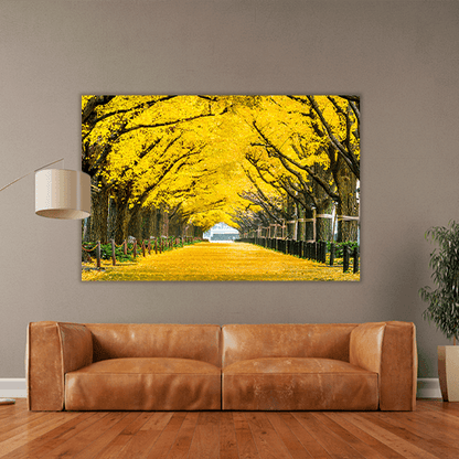 Row of yellow Trees