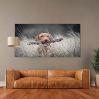 Hungarian Hound Dog