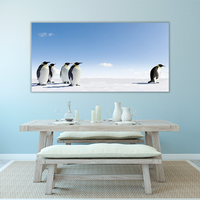 Emperor Penguins