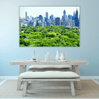 Skyline and Central Park