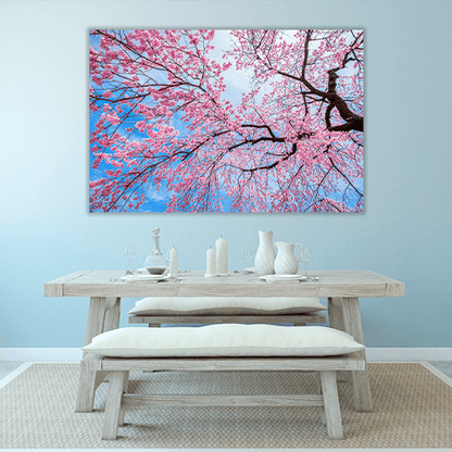 Sakura Season in Spring