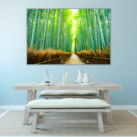 Bamboo forest in Japan