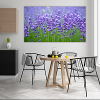 Meadow of lavander