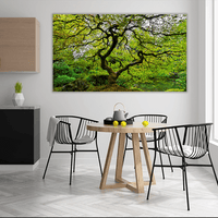 Old Japanese Maple