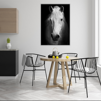 Portrait of a white Horse