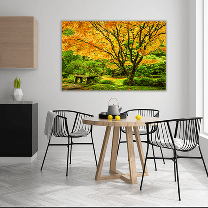 Japanese Maple Fall