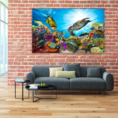Colorful Coral Reef