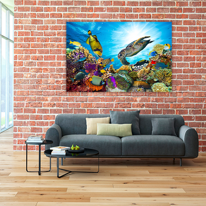 Colorful Coral Reef