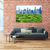 Skyline and Central Park