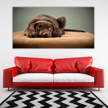 Puppy on Ottoman