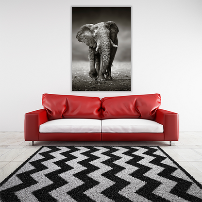 Elephant Approach