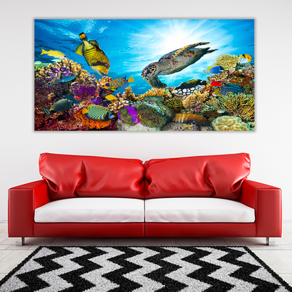 Colorful Coral Reef