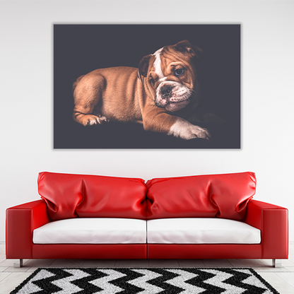 Portrait of English Bulldo