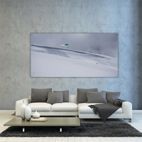 Flying Snowboard