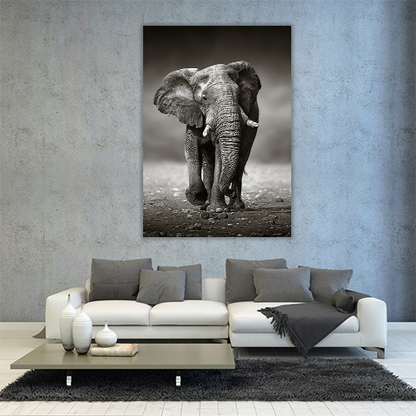 Elephant Approach