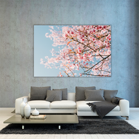 Pink Cherry Blossom