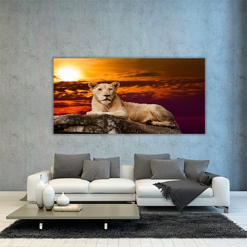 Portrait of Lioness