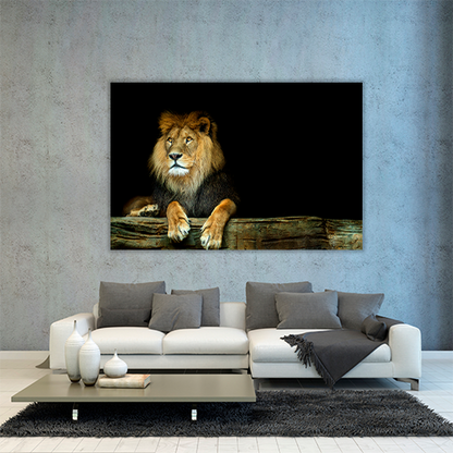 Lion Sitting on a Rock
