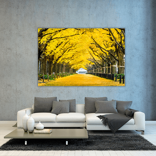 Row of yellow Trees