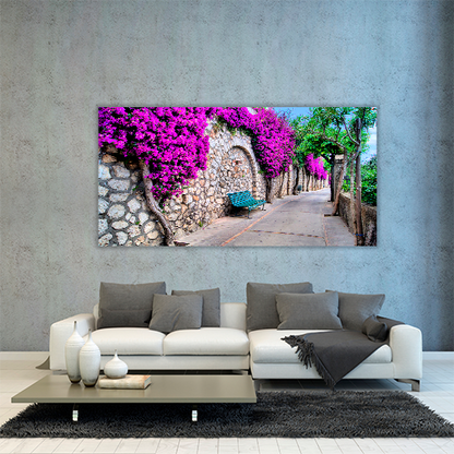 Pathway in Capri