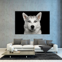 Husky in Black
